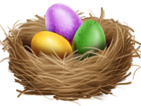 nest with easter eggs
